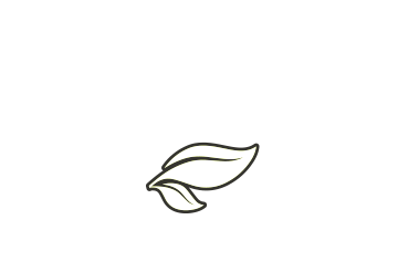 bram-roovers